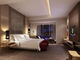 La mobilia moderna elegante della camera da letto dell'hotel della stella mette per la stanza ospite/dell'appartamento